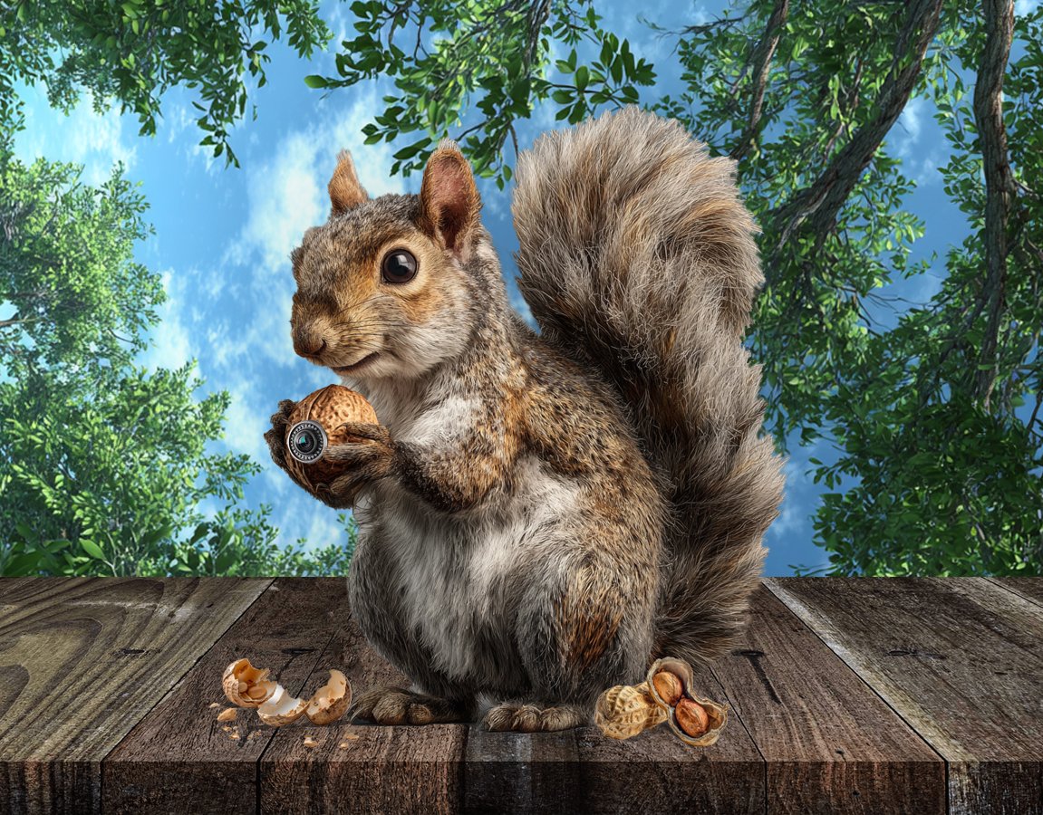 Squirrel_MobileHero